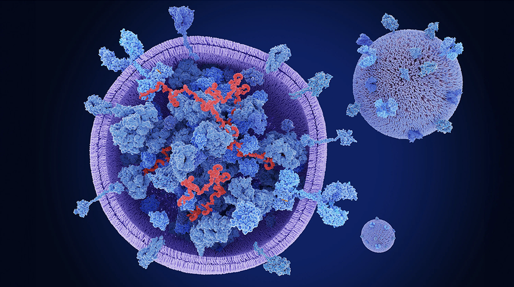 Exosomes
